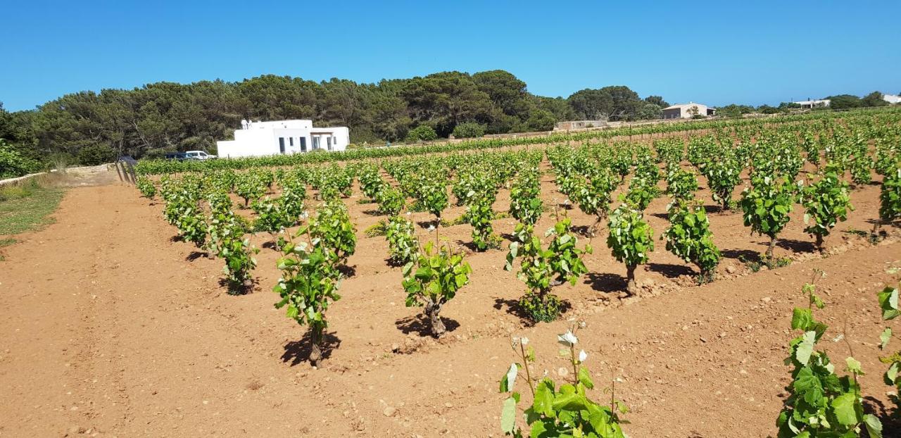 Ses Vinas De Cas Baixero Ferienhaus